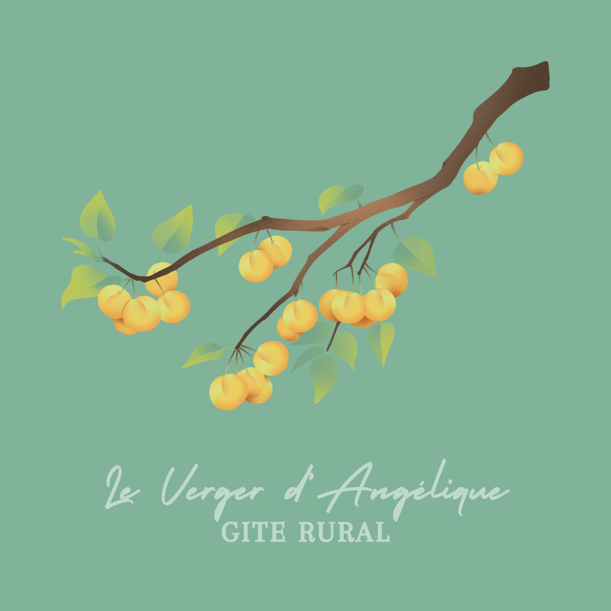 Le Verger d'Angélique